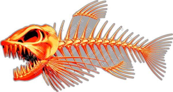 Gold Bone Fish - Vinyl Sticker | Decal, Cars Trucks Vans Motorcycle Window Walls Laptop. Many Sizes to Choose From.